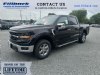 New 2024 Ford F-150 - Boscobel - WI